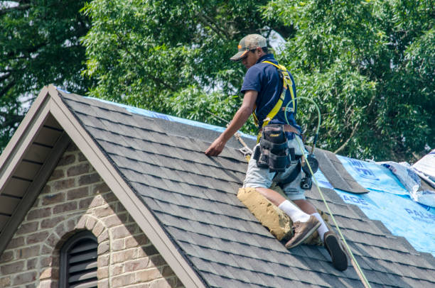 Best Roof Gutter Cleaning  in Trent Woods, NC